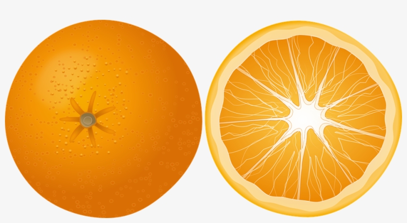 Clipart Of Citrus Fruit Background Vector - Transparent Image Orange, transparent png