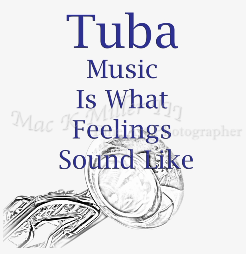 Comune Di Alba Adriatica, transparent png