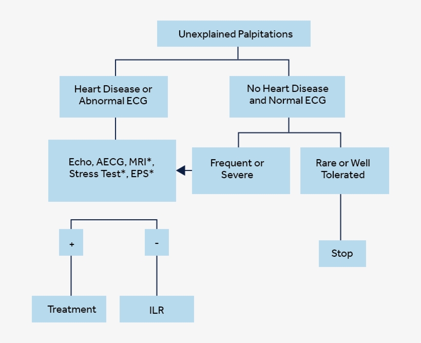 Erha Recommendations Flow Chart - Diagram, transparent png