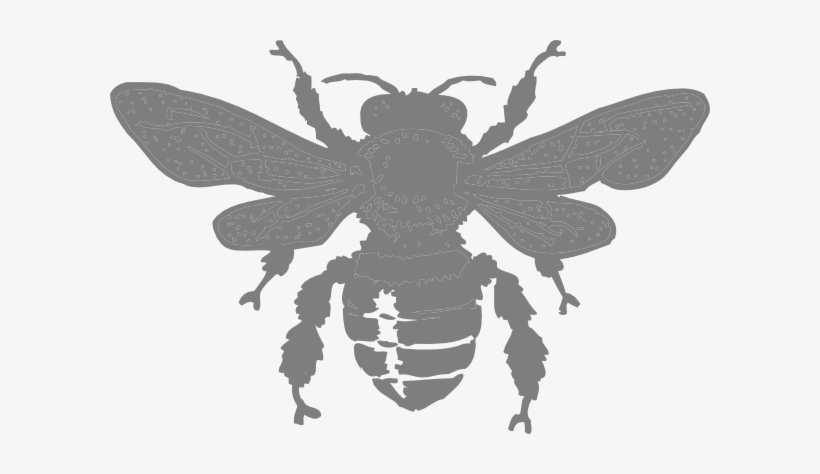 How To Set Use Gray Bee Clipart, transparent png