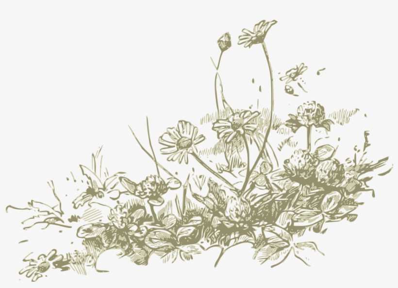 This Free Icons Png Design Of Wildflowers, transparent png