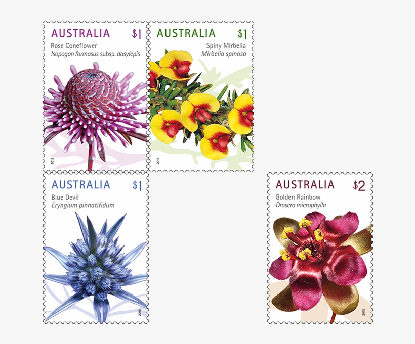Set Of Wildflowers Stamps, transparent png