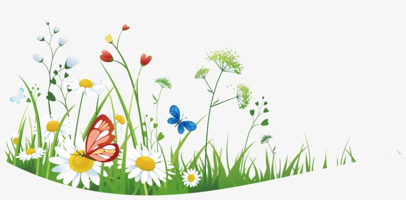 Wild Flowers With Grass - Clip Art, transparent png