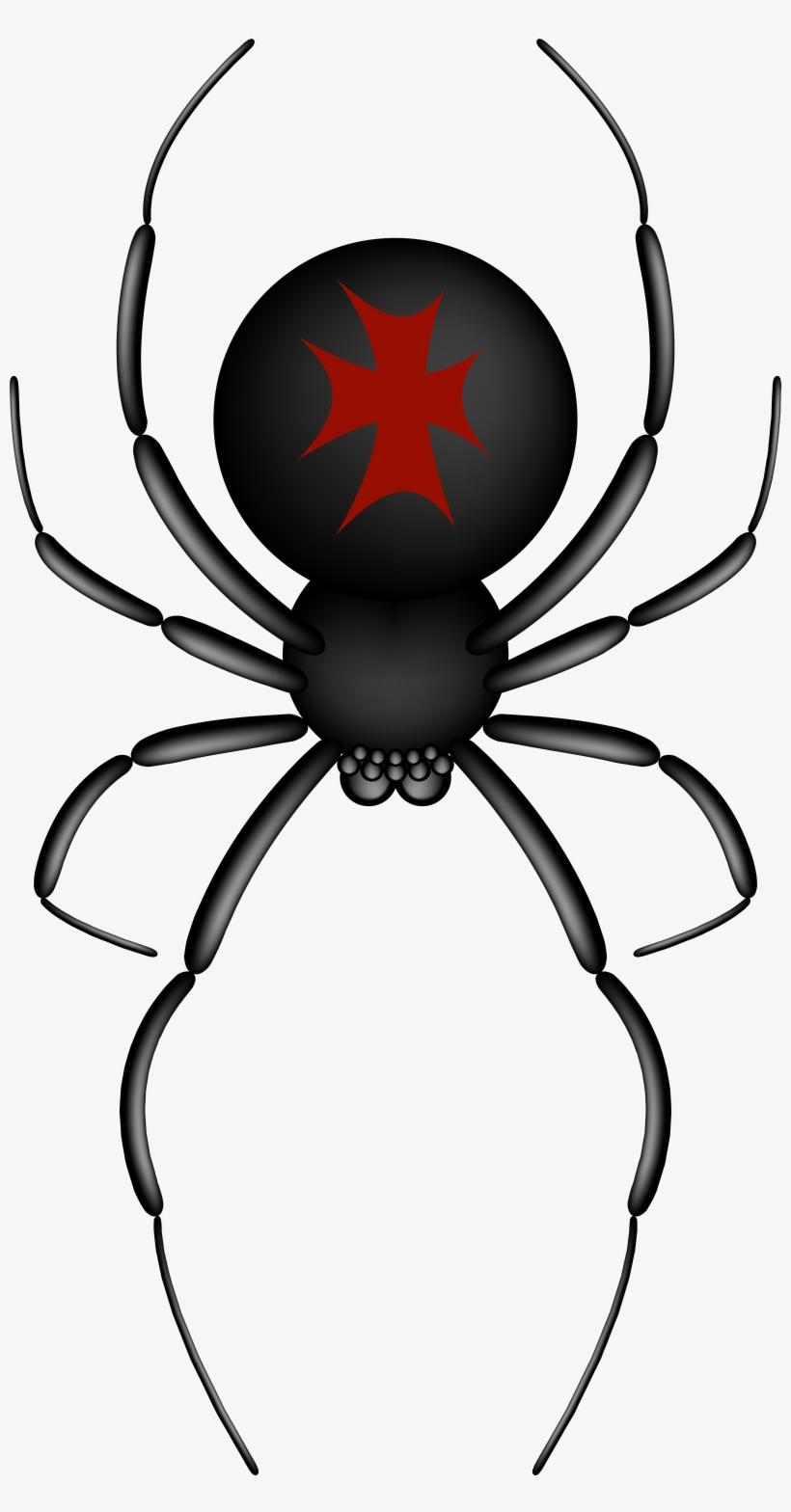 Black Widow Png Transparent Images - Red And Black Spider Clip Art, transparent png