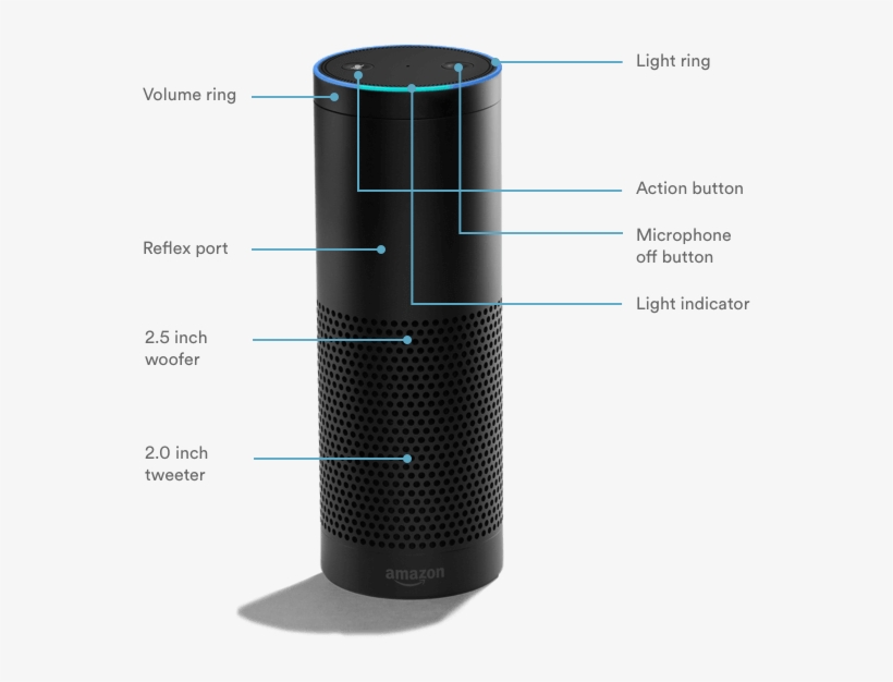 Color Vivint Amazon Echo 558x546 PNG Download PNGkit