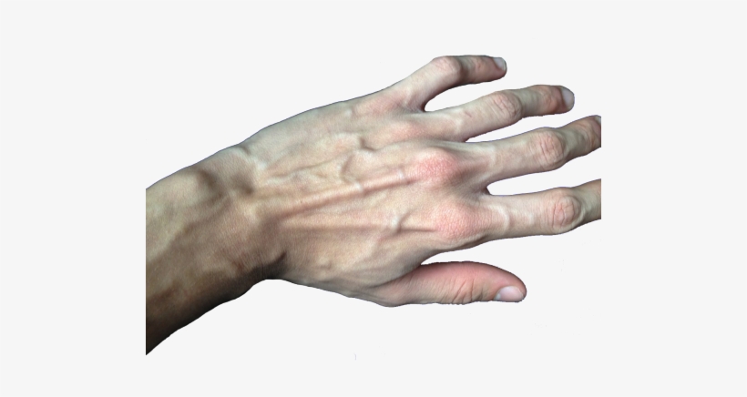 Lmao Hands Weheartit Fingers Png Transparent Veins - Transparent Hands, transparent png