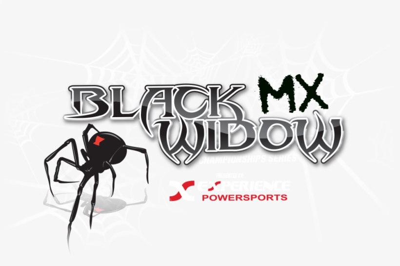 Black Widow Mx Series - Black Widow, transparent png