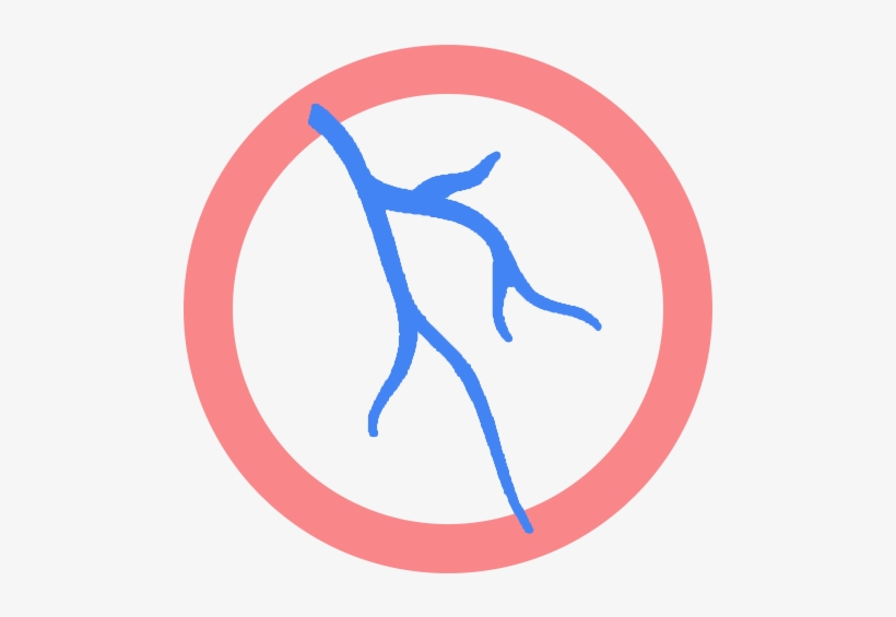 Veins - Vein, transparent png