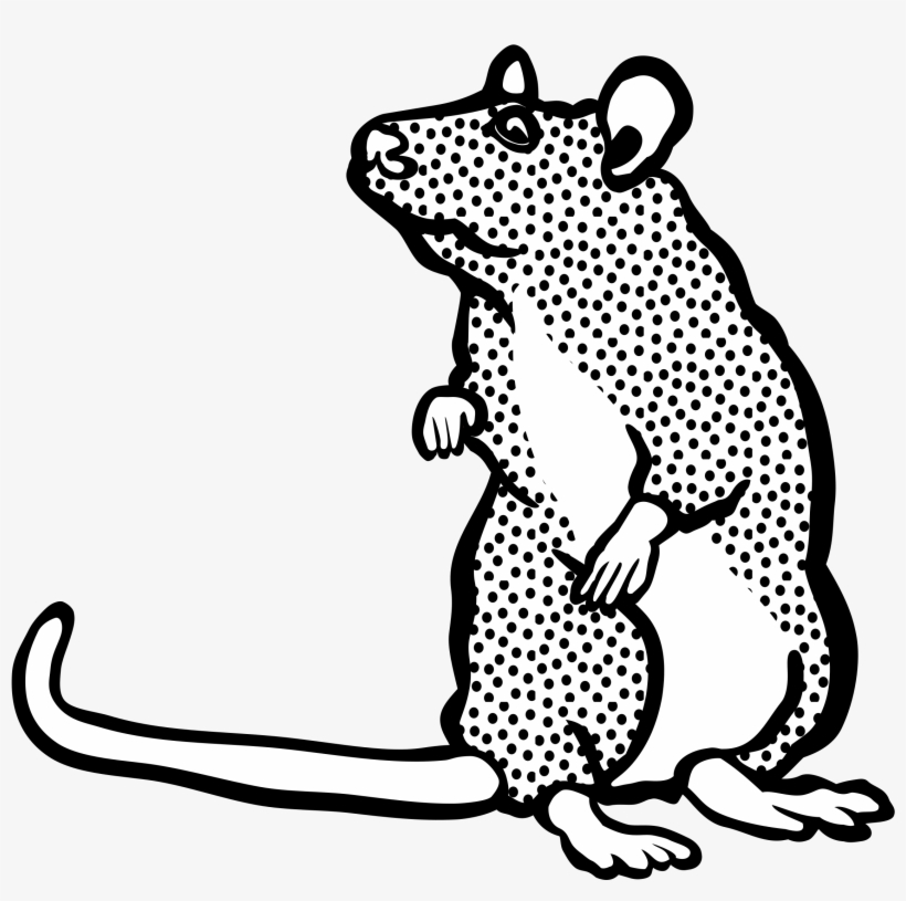 This Free Icons Png Design Of Mouse Two, transparent png