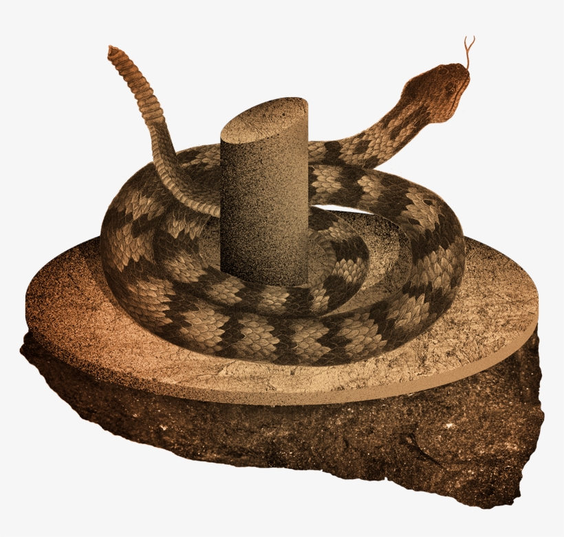 Google Home And Amazon Echo Are Constantly Listening, - Portable Network Graphics, transparent png