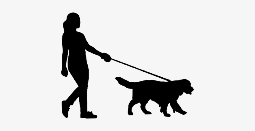 Walking, Dog, Women, People, Silhouette - Silhouette Of Person Walking Dog, transparent png