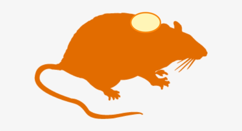 Syngeneic Models - Rat Silhouette, transparent png