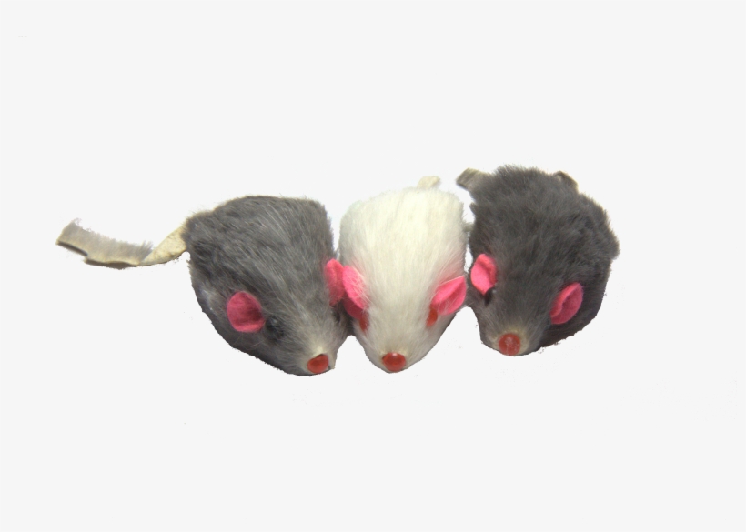 Price, transparent png