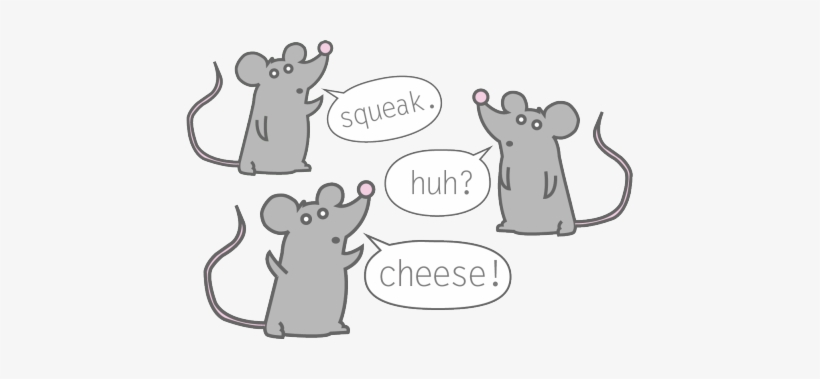 Mouse - Rat, transparent png