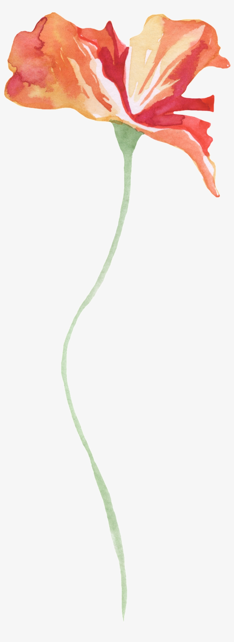 Slender Red Flower Decoration Vector - Ibis, transparent png