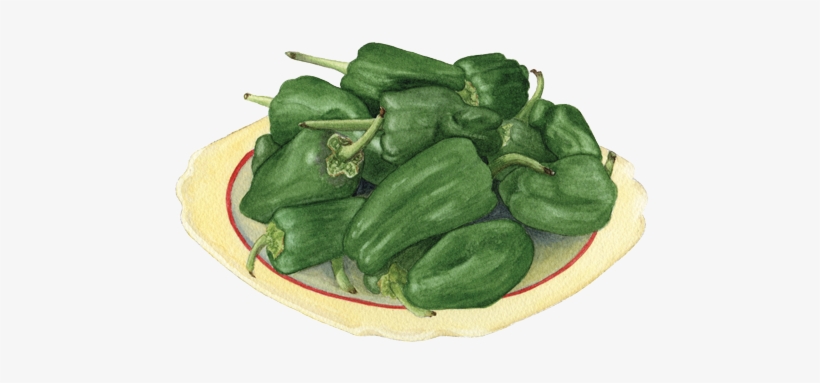Padron Peppers - Okra, transparent png