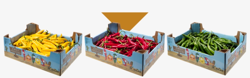 Chili Festival Contains Chili Peppers Of All Shapes, - Bird's Eye Chili, transparent png