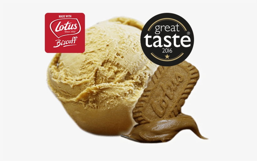 Lotus Caramelised Biscoff Lotus Flavour Ice Cream 605x477 PNG