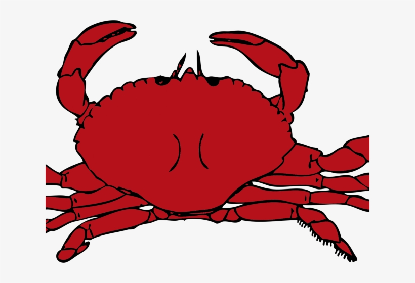 Hermit Crab Clipart Underwate Creature, transparent png