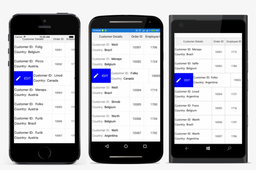 Loading Complex Views In Swipe Template In A Datagrid, transparent png