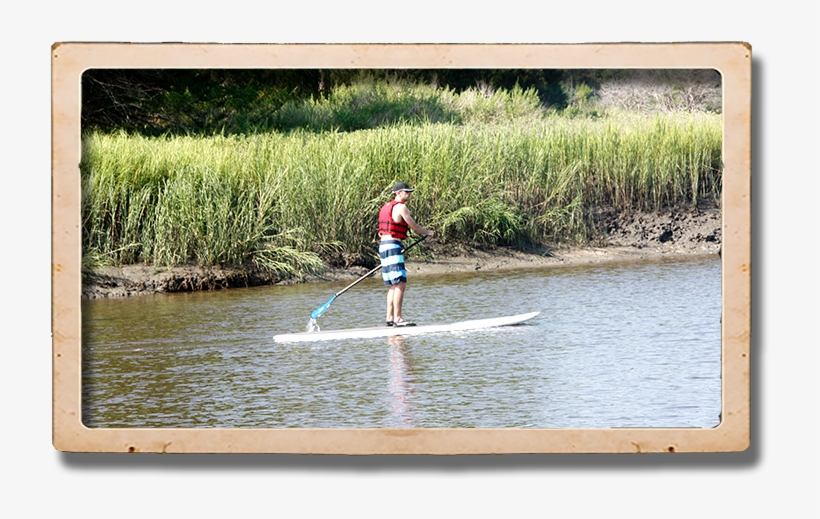 Sup Sunset, transparent png