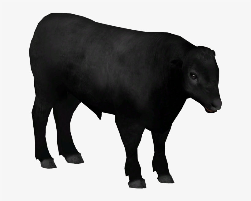 Aberdeen Angus Cattle, transparent png