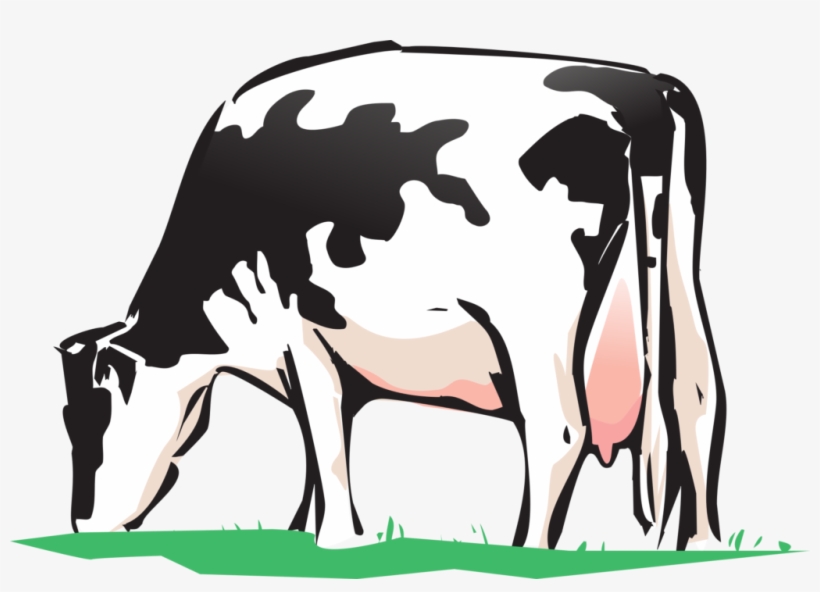 Cow 2146011, transparent png