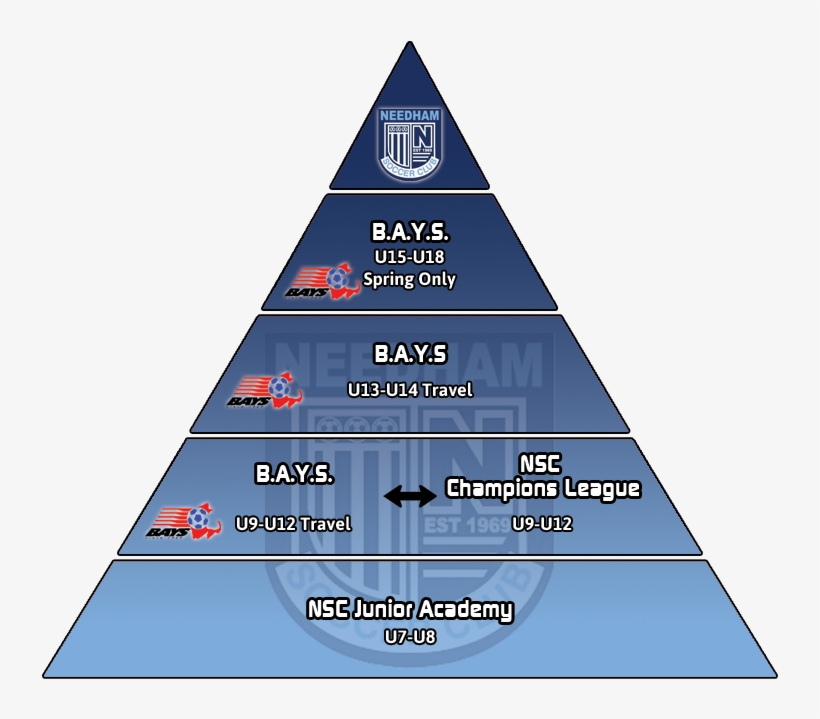 Use The Links On The Right To Find More Information, transparent png