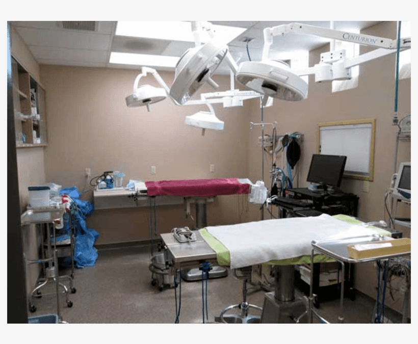 Procedures, transparent png