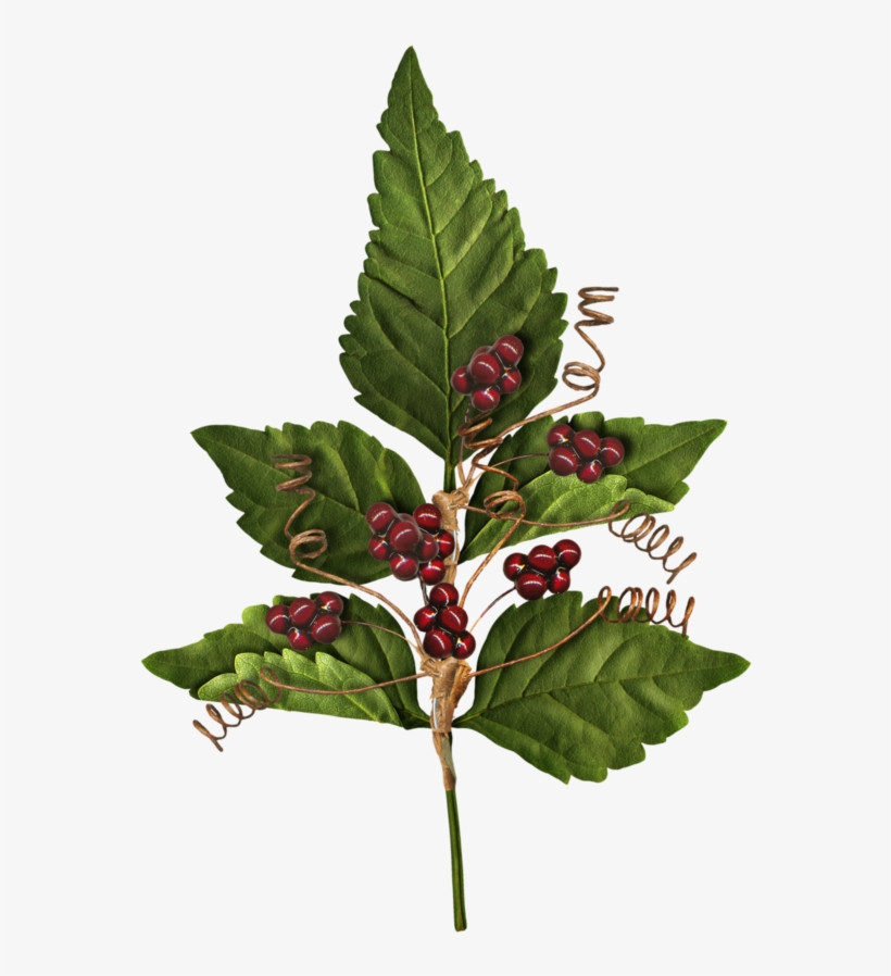 Праздничное Настроение 1 Yandex, transparent png