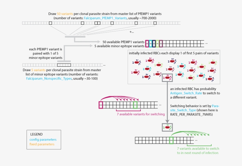 Images/malaria Infection Parasite Strain Switching, transparent png