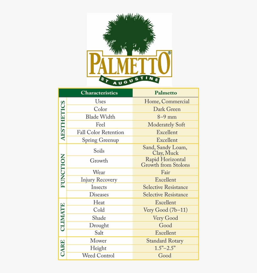 Palmetto St, transparent png