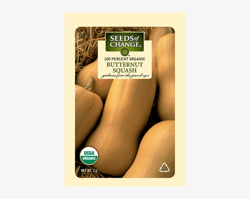 Organic Butternut Winter Squash Seeds, transparent png