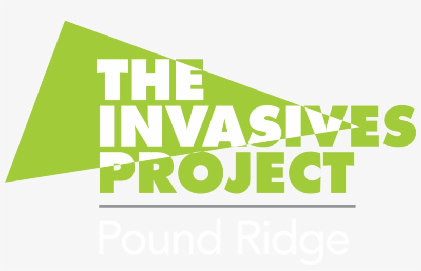 The Invasives Project, transparent png