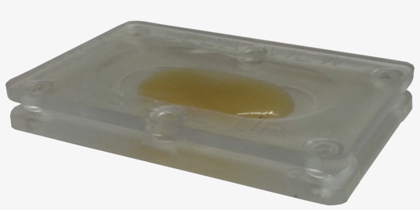 Npd Bed Bug Monitor, transparent png