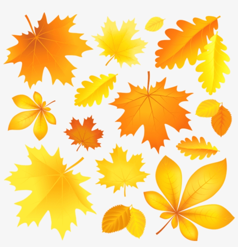 Download Transparent Fall Leaves Picture Clipart Png, transparent png