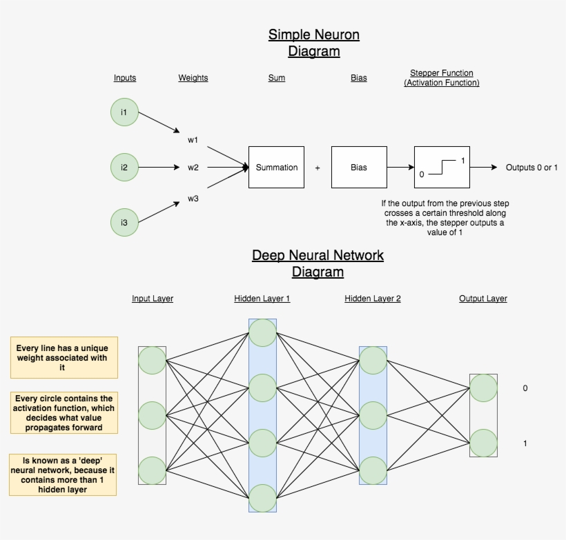 Neuron, transparent png
