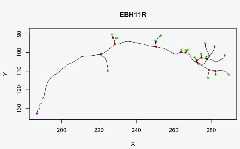 All Methods For Neuron Objects Methods, transparent png