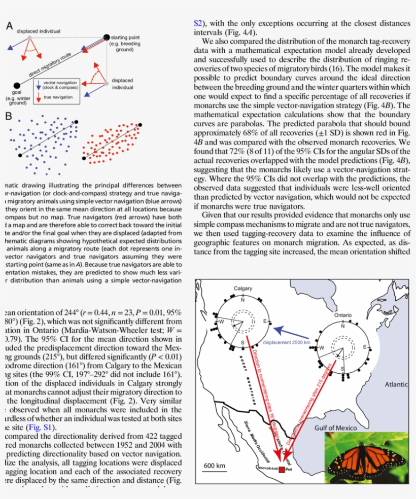 Circular Plots Depicting The Individual And Group Mean, transparent png
