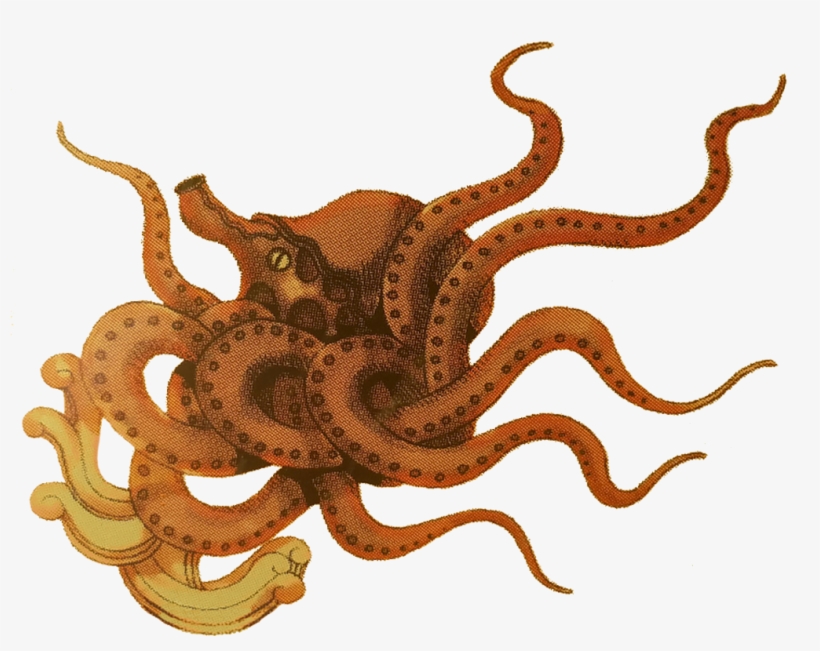 Kraken Icon, transparent png