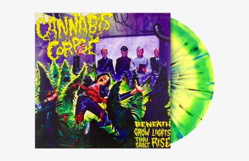 Beneath Grow Lights Thou Shalt Rise Vinyl Lp, transparent png