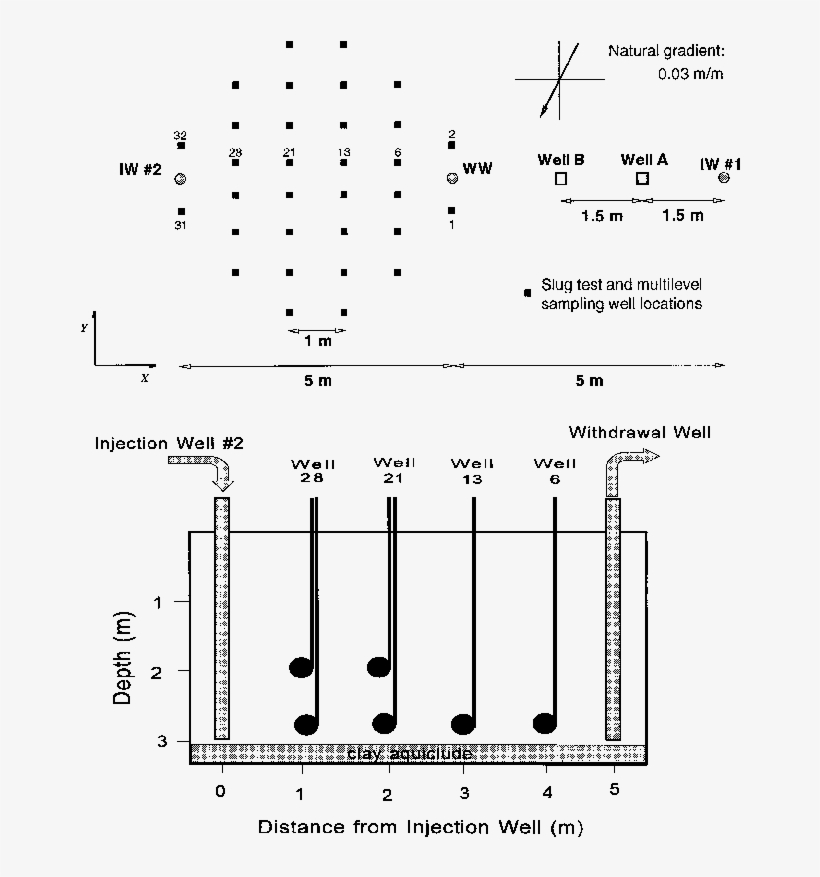 Plan View Of Experimental Site And (bottom) A Cross, transparent png