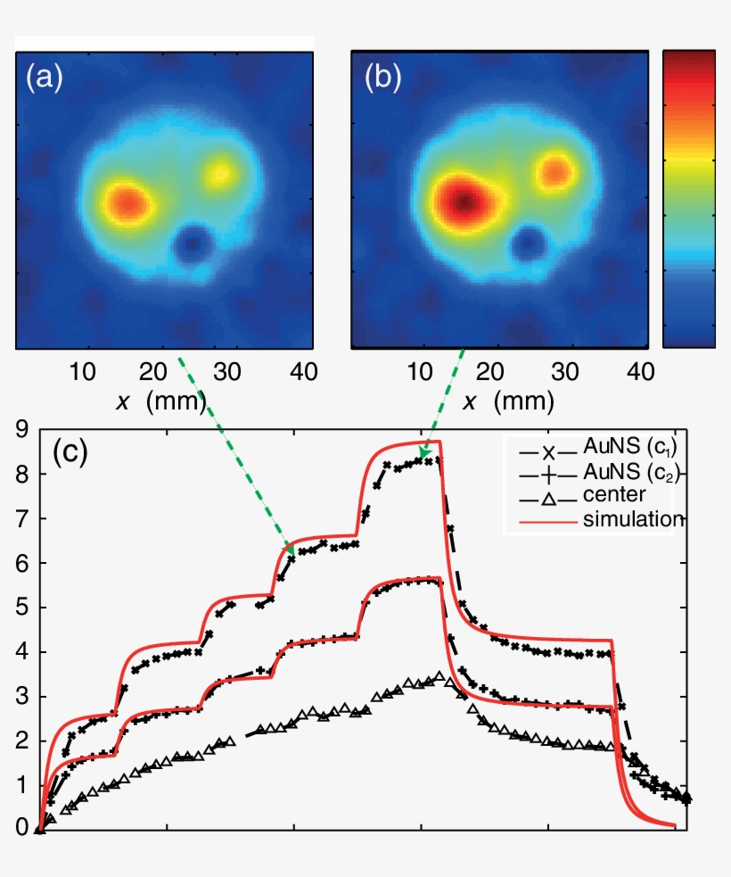And (b) Sos Maps At Two Different Levels Of Irradiation,, transparent png