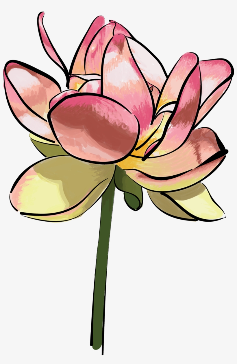Lilly1, transparent png