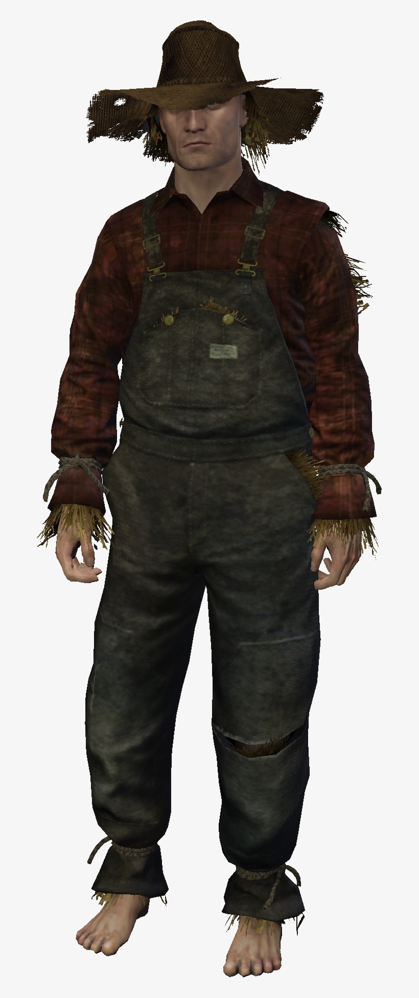 Scarecrow Outfit, transparent png