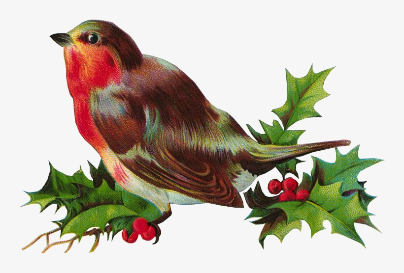 Zibi Vintage Scrap, transparent png
