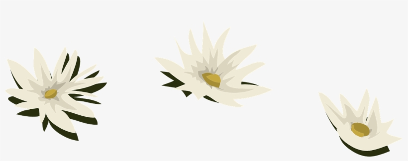 Type Ultra, transparent png