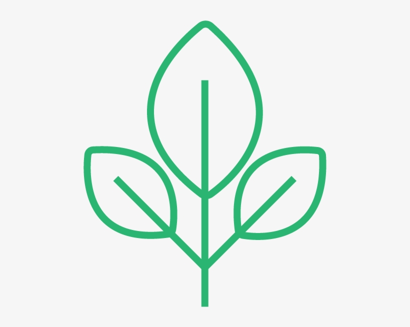 Herbs, transparent png