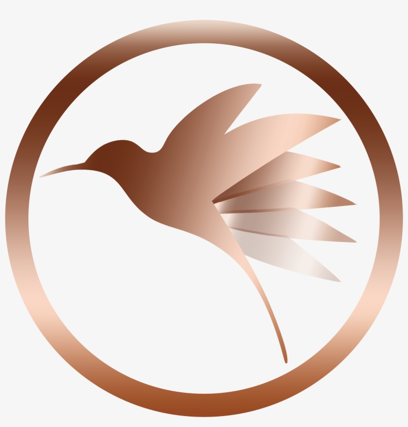Follow The Hummingbird Consulting, Pbc, transparent png