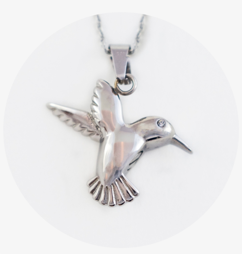 Pendant- Hummingbird, transparent png